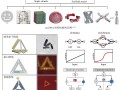 基于合成核酸分子工程的生物医学应用